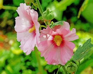 Blooming Pink Hollyhocks diamond painting