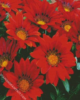 Blooming Red Gazania diamond painting