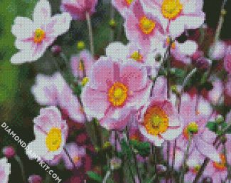 Blooming Anemones diamond painting