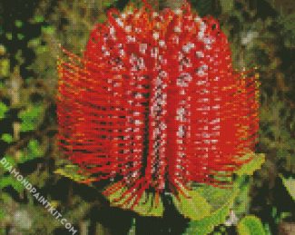 Blooming Banksia Flower diamond painting