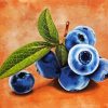 blueberry Fruits diamond painting