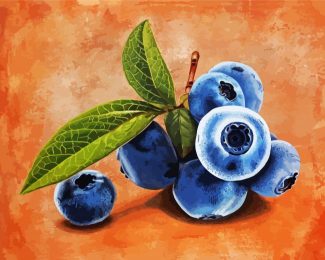 blueberry Fruits diamond painting