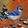 Blue Jay Bird diamond painting