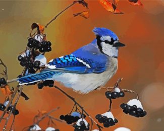 Blue Jay Bird diamond painting