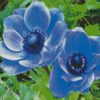 Blue Anemones diamond painting