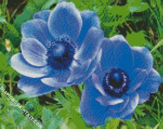 Blue Anemones diamond painting