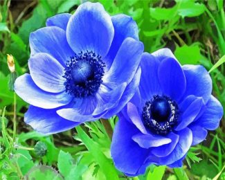 Blue Anemones diamond painting