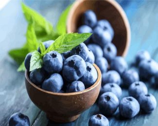 Blueberry Bowl diamond painting