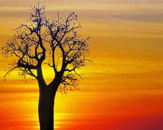 Boab Tree At Sunset diamond painting