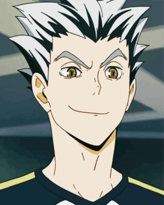 Bokuto Haikyuu diamond painting