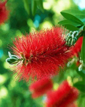 Bottlebrush diamond painting