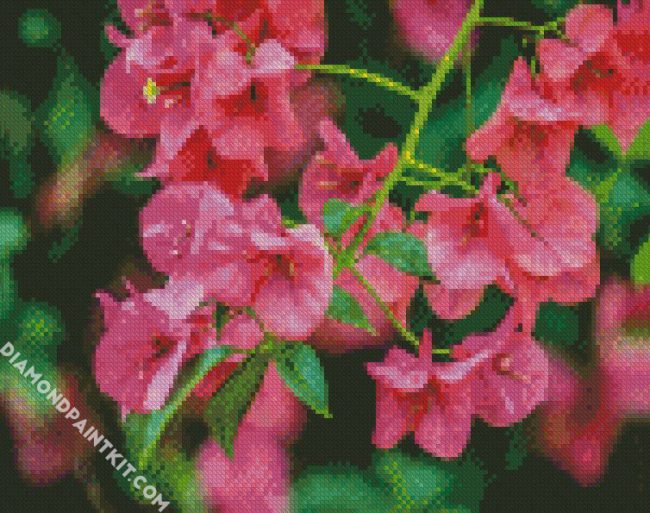 Bougainvillea Flowering Plant diamond painting