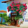 Bougainvillea House diamond painting