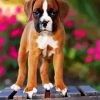 Boxer Puppy diamond painting