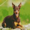 Brown Australian Kelpie Dog diamond painting