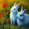 Bunnies And Butterflies diamond painting