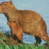 Capybara Rodent diamond painting