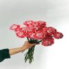 Carnation Bouquet diamond painting