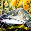 Carp Catfish diamond painting