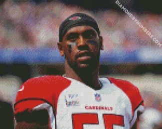 Chandler Jones Arizona Cardinals diamond painting