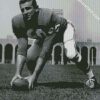 Chuck Bednarik American Football Player diamond painting