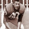 Chuck Bednarik diamond painting