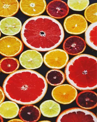 Citrus Fruits diamond painting