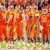 Clemson Tigers Football Team diamond painting