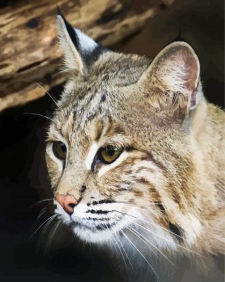 Close Up Bobcat diamond painting