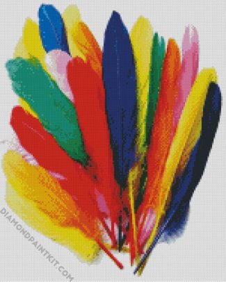 Colorful Bird Feathers diamond painting