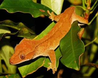 Crested Gecko Lizard diamond painting