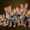 Cute Bengal Kitties diamond painting