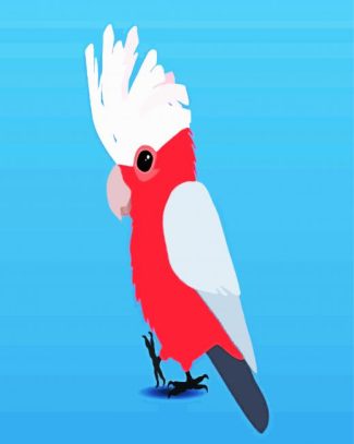 Cute Galah Bird diamond painting