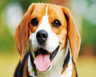 Cute Beagle Dog Head diamond painting