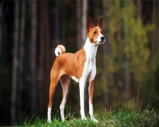 Dog Bread Basenji diamond painting