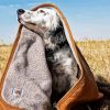 Dog In Blanket diamond painting