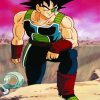 Dragon Ball Character Bardock diamond painting