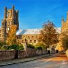 Ely Cathedral Cambridgeshire diamond painting