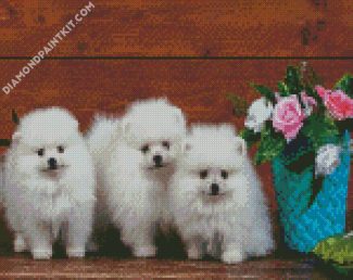 Eskimo Puppies diamond painting