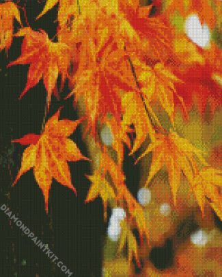 Fall Foliage Leaves diamond painting