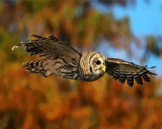 Flying Barred Owl diamond painting