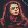 GOT Arya Stark diamond painting