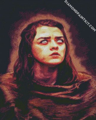 GOT Arya Stark diamond painting