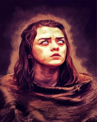 GOT Arya Stark diamond painting