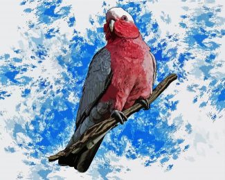 Galah Bird Art diamond painting