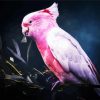 Galah Bird diamond painting