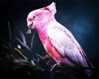 Galah Bird diamond painting