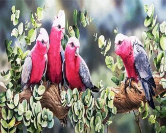 Galah Birds diamond painting