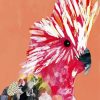 Galah Pop Art diamond painting