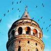 Galata Tower Surrounded By Birds diamond painting